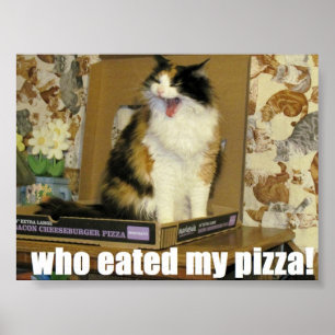Wer hat meine Pizza gegessen? Funny Cat Meme Poster