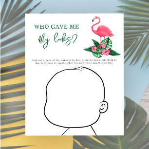 Wer hat mir mein Aussehen gegeben? - Pink Flamingo