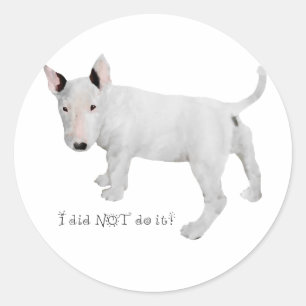 Wer, ich? Bull Terrier Welpe Runder Aufkleber