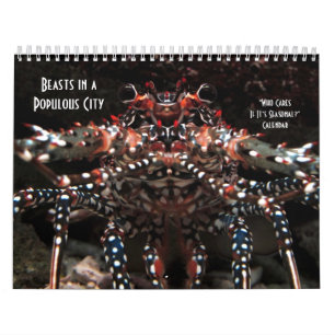 Wer interessiert sich, wenn es saisonal ist? kalender