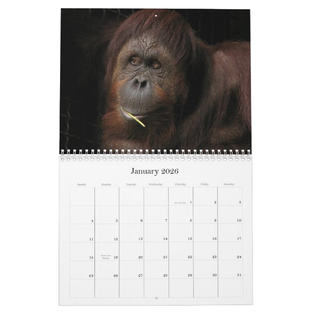 Wer interessiert sich, wenn es saisonal ist? kalender (Jan 2026)