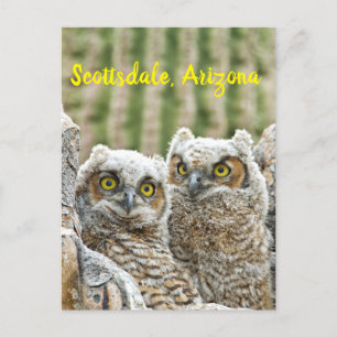Wer ist da? Paar von Owells Scottsdale, Arizona Postkarte