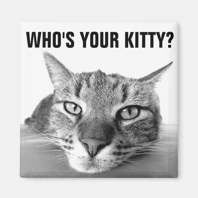 Wer ist dein Kätzchen? Magnete, Tabby Magnet (Vorne)