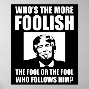 Wer ist der törichtere Anti-Trump? Poster