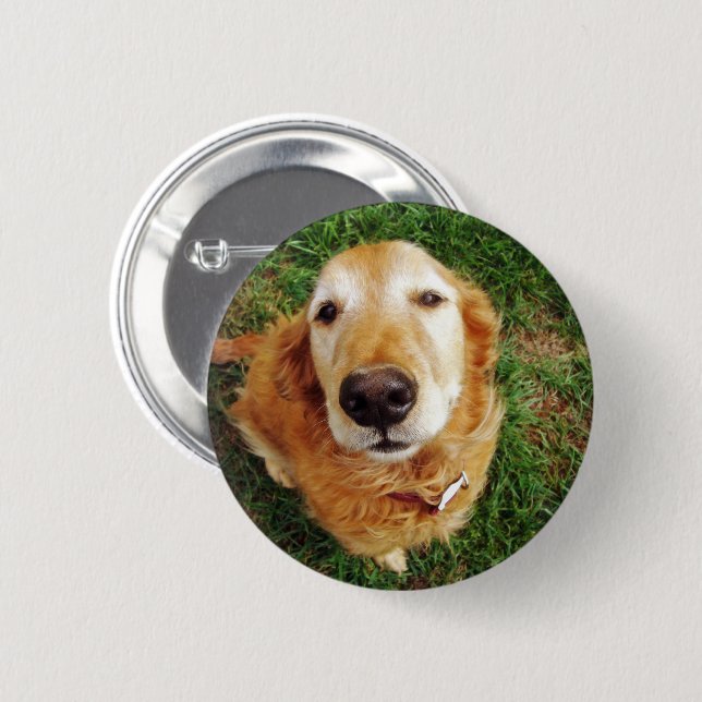 Wer ist ein guter Junge Button (Vorne & Hinten)
