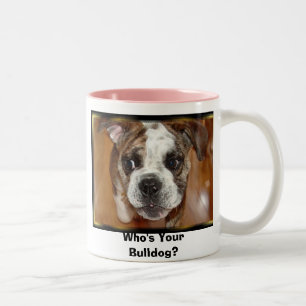 Wer ist Ihre Bulldogge? Zweifarbige Tasse