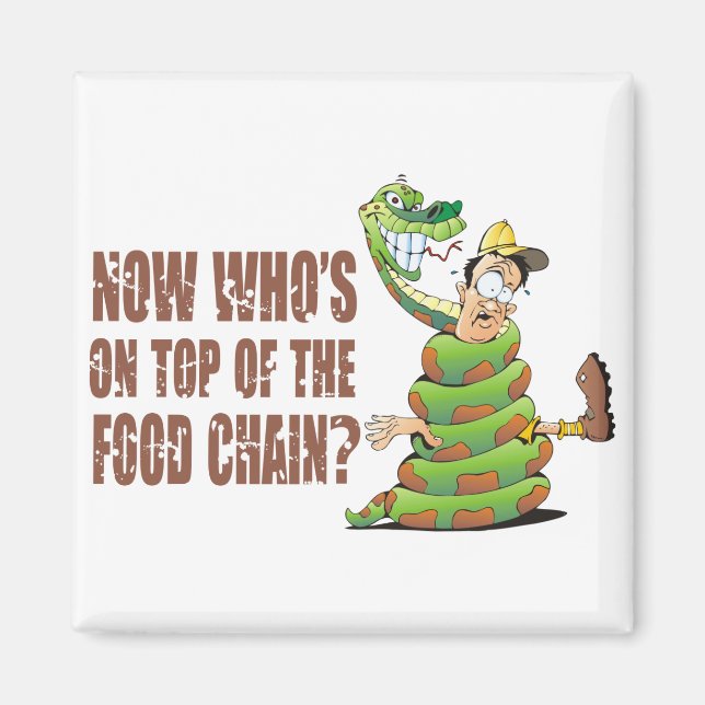 Wer jetzt an der Spitze der Nahrungskette ist Magnet (Vorne)