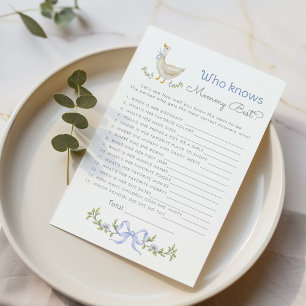 Wer kennt Mami am besten Goose Blue Babyparty-Spie