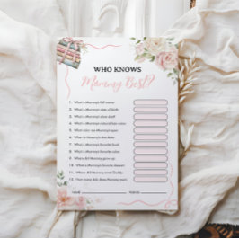 Wer kennt Mommy Best? | Baby Shower Game