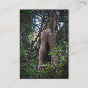 Wer lebt hier? ATC Visitenkarte