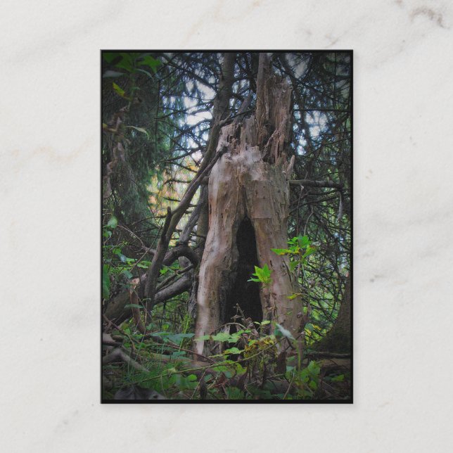 Wer lebt hier? ATC Visitenkarte (Vorderseite)