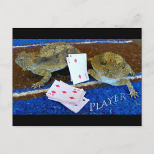 Wer macht das denn? Hallo, CCL, gut! Postkarte