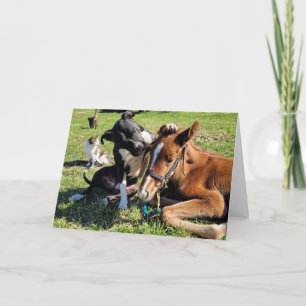 WER MÖCHTE ICH NACH "CHRISTMAS"-URLAUBSKARTE SEHEN FEIERTAGSKARTE