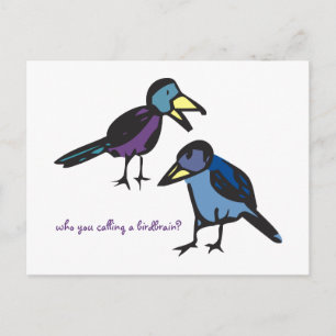 Wer nennst du ein Vogelhirn? Postkarte