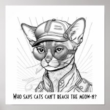 Wer sagt, dass Katzen das Meow-n nicht erreichen k