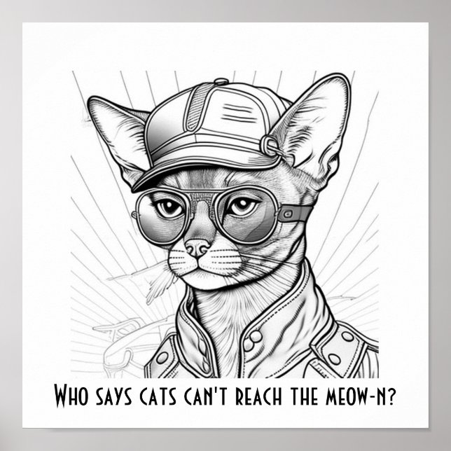 Wer sagt, dass Katzen das Meow-n nicht erreichen k Poster (Vorne)