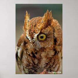 Wer schaut nach unten poster