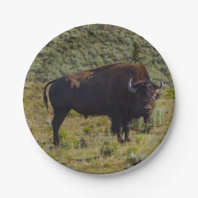 Wer Sie betrachtend Pappteller (Vorderseite)