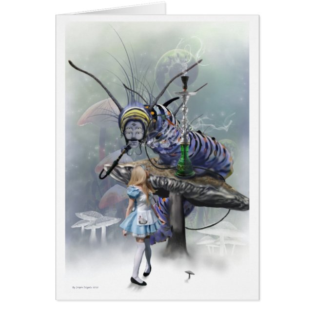 Wer Sie sind (Vorne)