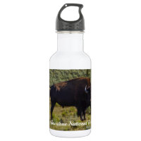 Wer sieht die Flasche aus Edelstahl?