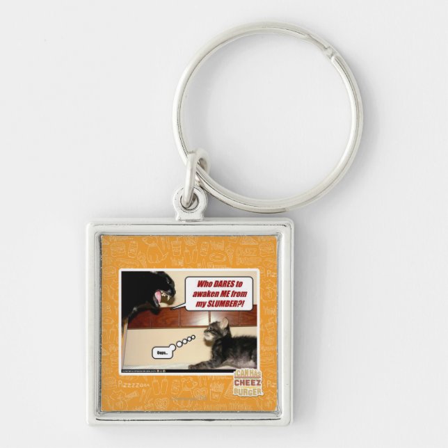 Wer wagt es, mich zu wecken? schlüsselanhänger (Vorne)