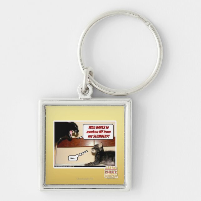 Wer wagt es, mich zu wecken? schlüsselanhänger (Vorne)