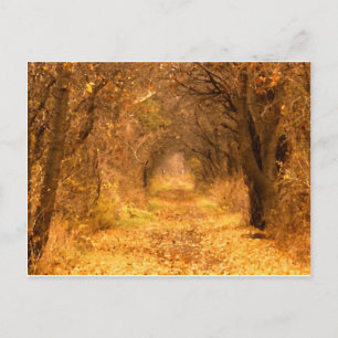 Wer weiß, wohin der Weg führt? Postkarte