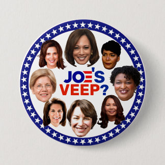 Wer wird Joe's Veep sein? Button