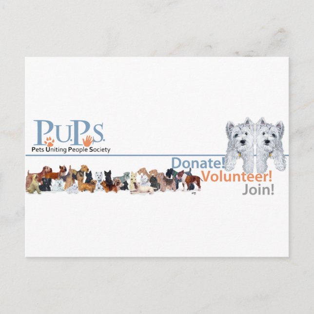 Werbeartikel für PUPs-Logos mit Westie-Welpen Postkarte (Vorderseite)