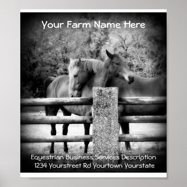 Werbeplakat für Pferde Poster (Vorne)