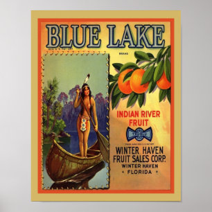 Werbeplakat für Vintage Blue Lake Orangen Poster