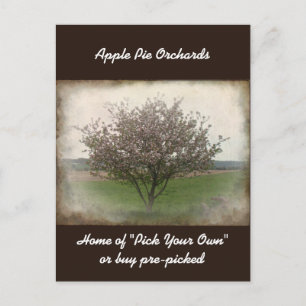 Werbung für Apple Tree in Bloom Postcard Postkarte