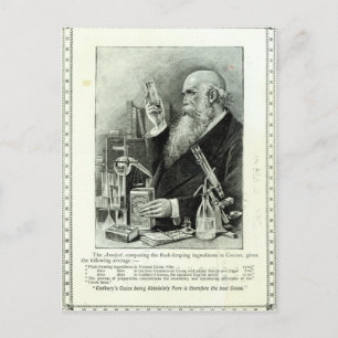 Werbung für "Cadbury's Cocoa" Postkarte