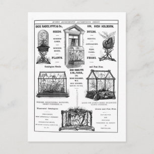 Werbung für "Dick Radclyffe & Co." Rustikale Werbu Postkarte