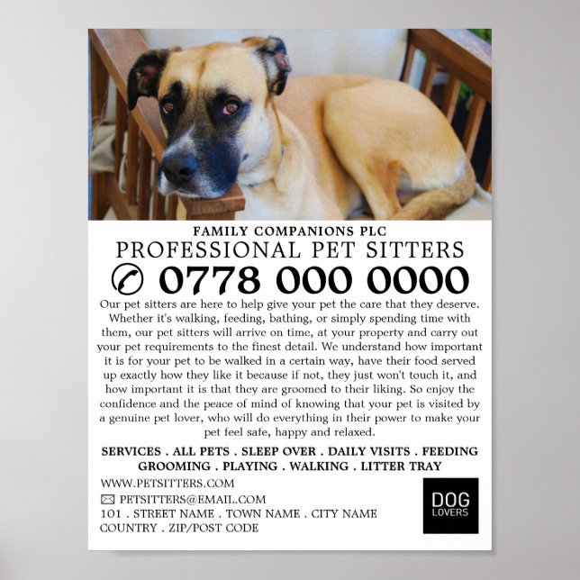 Werbung für entspannte Hunde, Haustiere Poster (Vorne)