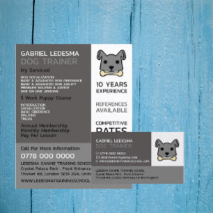 Werbung für Grauhunde, Hunde-Trainer Flyer