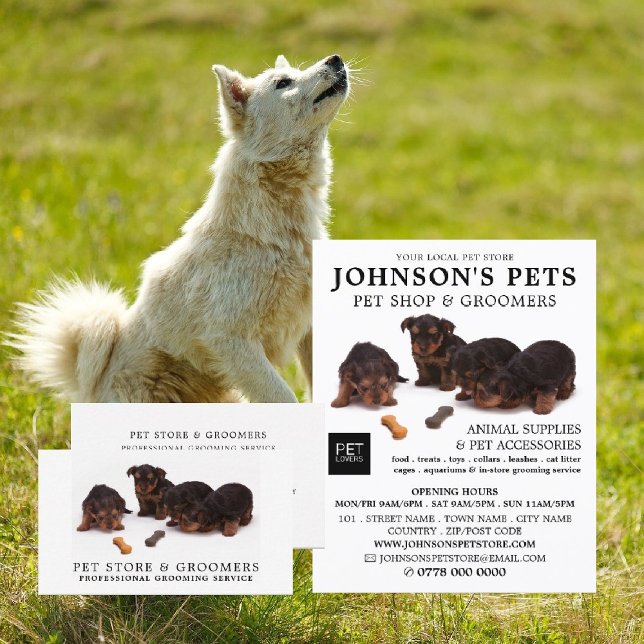 Werbung für niedliche Jungtiere, Pet Store & Groom Flyer (Von Creator hochgeladen)