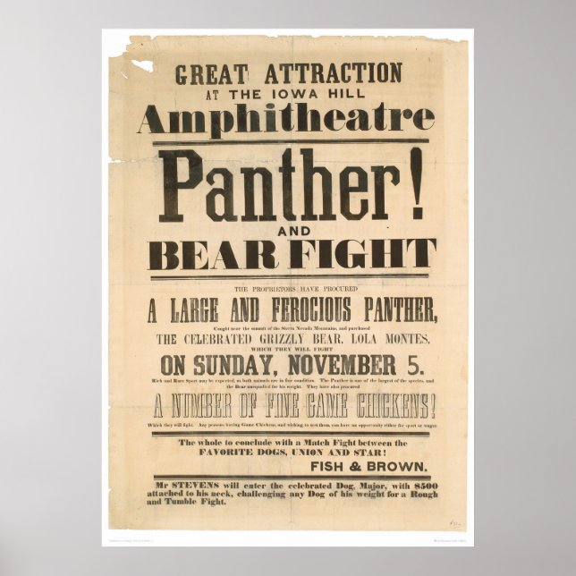 Werbung für Panther und Bären (1293A) Poster (Vorne)