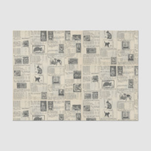 Werbung für Vintage Briefmarke Seidenpapier