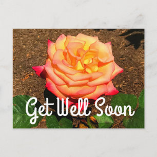 Werde Bald Gesund Traum Wird Wahr Rose #3 Postkart Postkarte