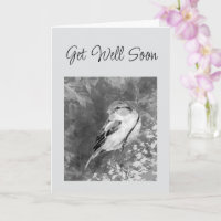 Werde Bald Gesund Wasserfarben Spatz Vogel im Wald