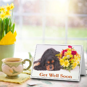 Werde Gesund Cavalier King Charles Spaniel Karte