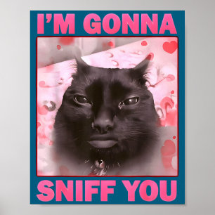 Werde lustige Brainrot-Katzen-Meme für Frau Mann s Poster