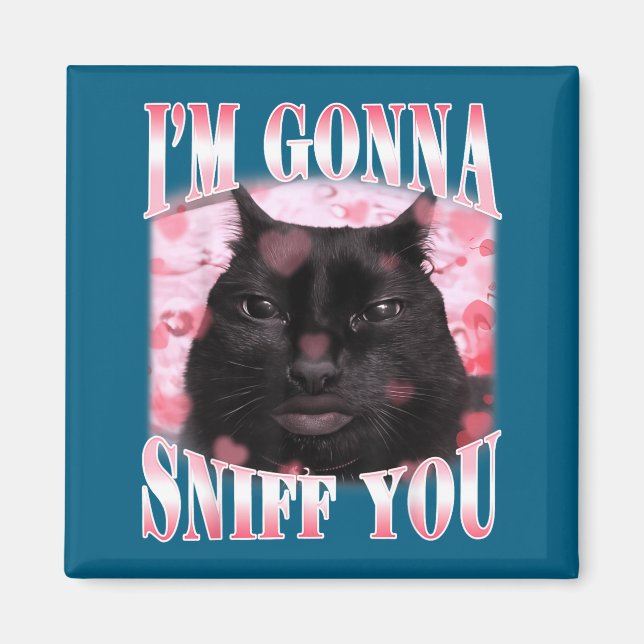Werde lustigen Gehirnverfall dummes Katzen-Meme-Gr Magnet (Vorne)