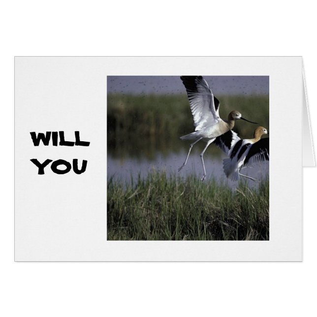 WERDEN SIE MIT MIR FLIEGEN? LIEBE CARD (Vorderseite (Horizontal))