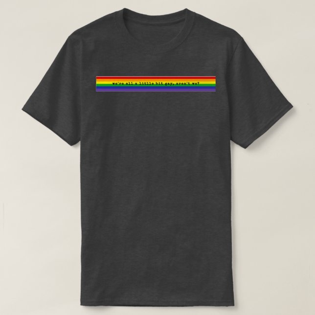 were all a little bit gay arent we T-Shirt (Design vorne)