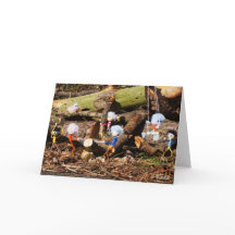 Werkende Fubby's in hun houtzagerij.