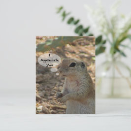 Wertschätzen Sie die Wüstentierart "Ground Eichhör Postkarte