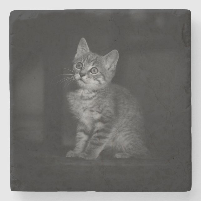 Wertvoll Kitten Steinuntersetzer (Vorderseite)