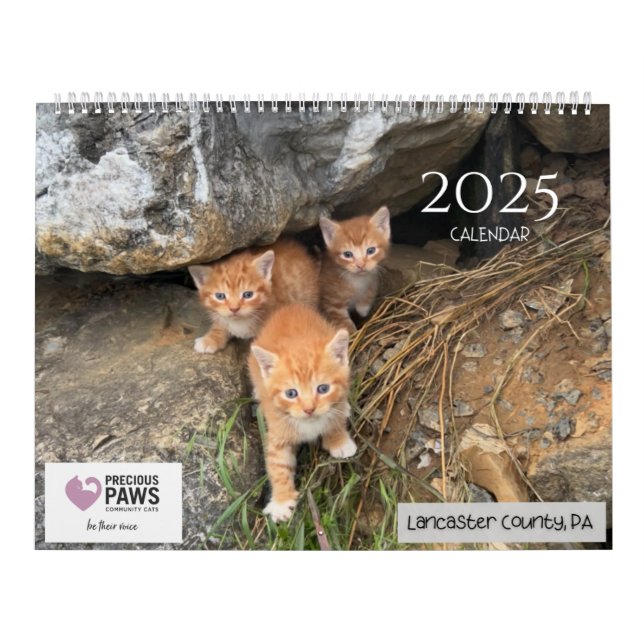 .Wertvoll Paws 2025 Calendar. Kalender (Titelbild)
